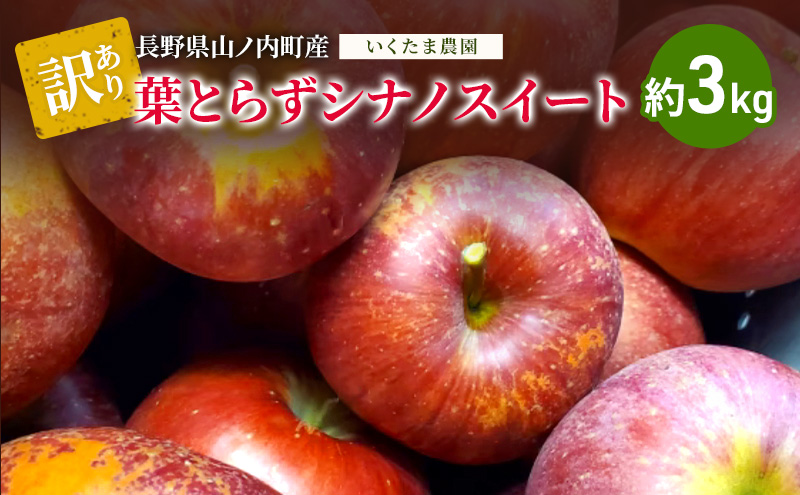 【訳あり】シナノスイート　約3kg リンゴ りんご フルーツ 果物 お取り寄せ 長野県 山ノ内町