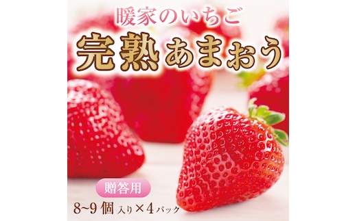 
										
										暖家のいちご 完熟あまおう 贈答用4パック [a9405] 社会福祉法人猪位金福祉会 暖家の丘 ※配送不可：北海道・沖縄・離島【返礼品】添田町 ふるさと納税
									