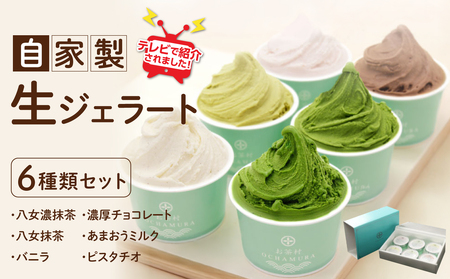 TVで紹介★自家製生ジェラート 6種類セット ＜配送不可：沖縄・離島＞ ジェラート アイス デザート 抹茶 バニラ チョコレート あまおう ミルク ピスタチオ セット 福岡県 八女市 077-006