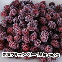 【ふるさと納税】 フルーツ ブラックベリー 冷凍 無農薬栽培 1.5kg 500g × 3袋 新潟 阿賀 ブラックフーズ 送料無料