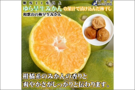 【0920-3】みかんこい梅　100ｇ×5個