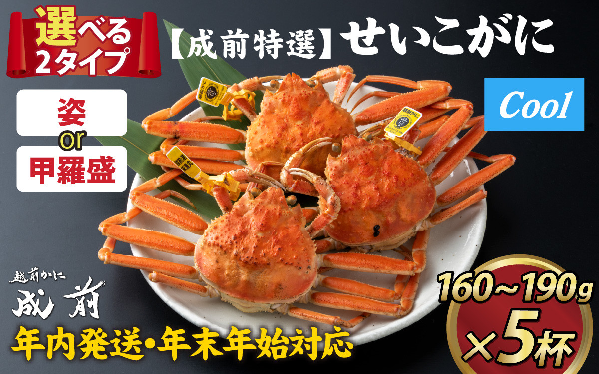 
【先行予約】選べる！美味しさ直送【成前特選】せいこがに（160g～190ｇ）×5杯【年内発送・年末年始対応】【E-028010】
