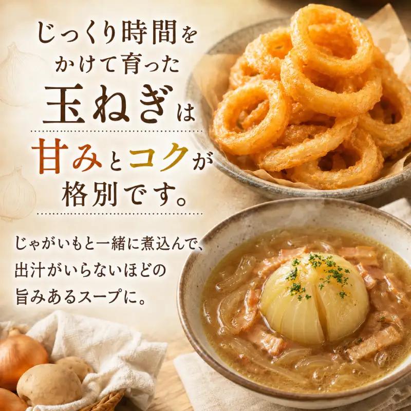 先行予約 北あかり5kg 玉ねぎ4kg セット じゃがいも