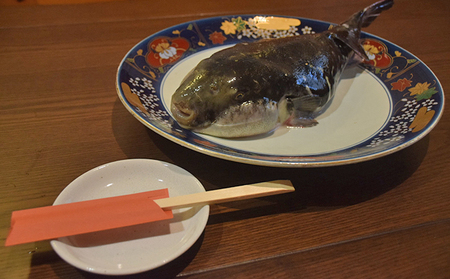 とらふぐ 魚貝類 天然とらふぐ てっちり鍋用 九十九里産 とらふぐ【2人前】