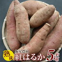 【ふるさと納税】飯尾農園 熟成 紅はるか 約5kg 芋 いも さつまいも サツマイモ 鹿児島県産 国産 長島町産 べにはるか 熟成【飯尾農園】miio-874