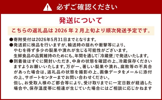 ソムリエ トマト 2.6kg とまと 野菜 やさい 熊本県産 国産 【2026年2月上旬発送開始】