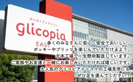 グリコ 人気商品 10種詰め合わせ 6箱 | ポッキー ﾁｮｺﾚｰﾄ プリッツ お菓子 ﾁｮｺﾚｰﾄ 食べ比べ 人気 大容量 ﾁｮｺﾚｰﾄ お土産 贈り物 プレゼント おやつ お取り寄せ 子供 家族向