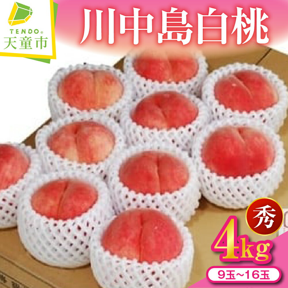 【ふるさと納税】 もも ( 川中島白桃 ) 約 4kg 秀 9玉〜16玉 令和8年産 先行予約 2026年 桃 白桃 果物 フルーツ のし 贈答 ギフト プレゼント おすそ分け お取り寄せ 旬 期間限定 送料無料 【 山形県 天童市 】