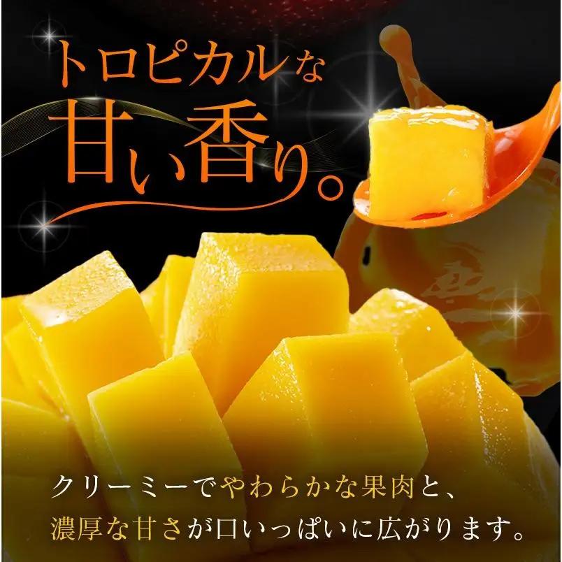 糖度15度以上『太陽のタマゴ』 約1kg 2～3玉 宮崎県産 完熟マンゴー ブランド 贈答 ギフト 南国 トロピカル フルーツ 果物 くだもの 化粧箱入り