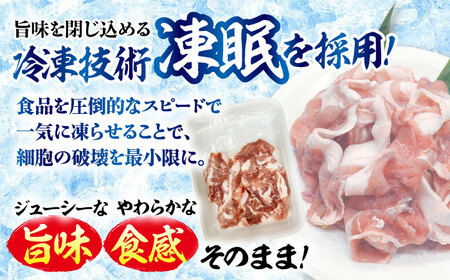 国産豚 焼豚 計800g 瑞浪市 / マルチョウ渡辺精肉店 焼き豚 国産 大容量[AZCW029]