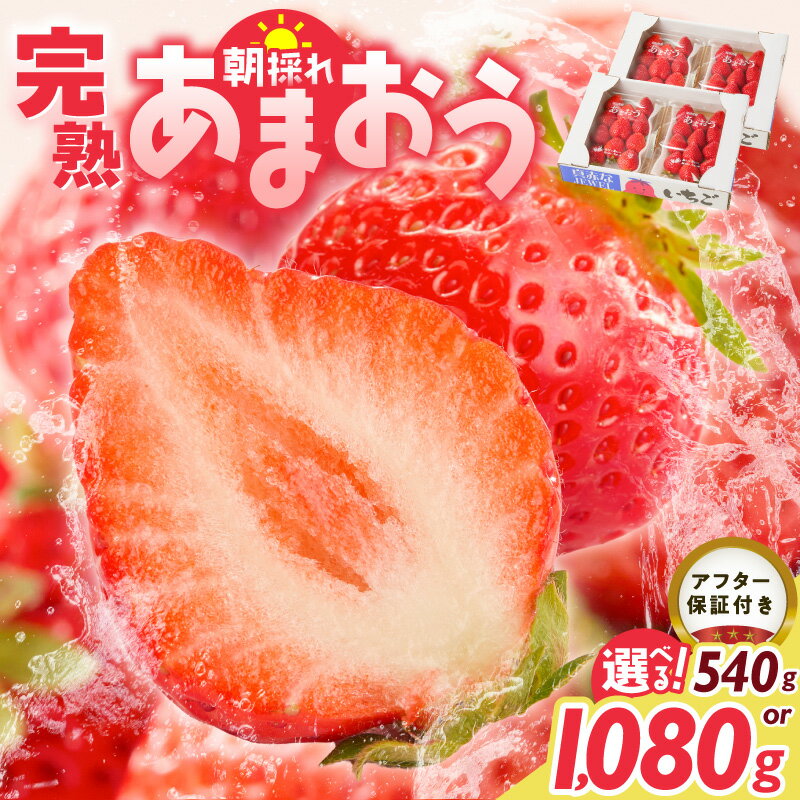 【ふるさと納税】増永農園 福岡県産あまおう 270g 選べる パック数 2パック 4パック 高級特産品 あまおう 福岡県産 朝採れ 新鮮 こだわり いちご とれたて ブランドいちご フルーツ 果物 デザート スイーツ お取り寄せ 福岡県 久留米市 送料無料