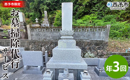 ＜お墓掃除 代行サービス（年3回）＞ 2基 墓所 墓石 お掃除 清掃 代理 代行 お手入れ お供え 供養 クリーン 花立 線香台 水鉢 雑草取り お墓参り お手入れ 徳山石材 愛媛県 西予市 UTS0003