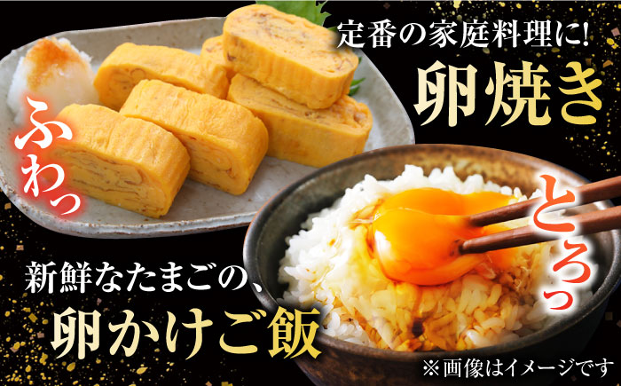 【お得な箱入り】五島の恵みたまご Lサイズ 150個入 / 卵 赤玉子 五島市 / 五島列島大石養鶏場 [PFQ007]