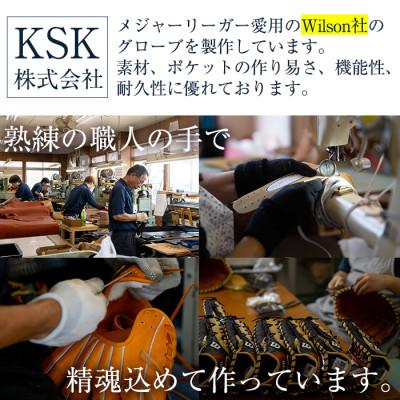 ふるさと納税 阿久根市 【硬式・内野手用DUAL】日本製野球グローブ Wilson硬式オーダーグローブ a-250-7 |  | 01