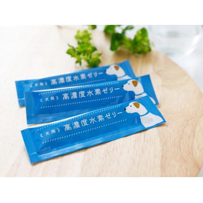 ふるさと納税 北九州市 【毎月定期便】高濃度水素ゼリー　犬用　5g×120本全6回 |  | 02