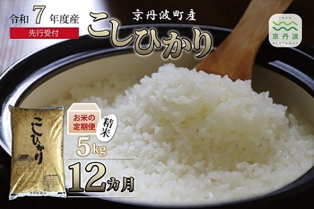 【12回定期便】《 新米先行予約 》2025年9月発送開始 こしひかり 京丹波町産 5kg 12カ月定期便 合計60kg 令和7年産【米 米定期便 白米定期便 新米定期便 お米定期便】 [096OK001R]