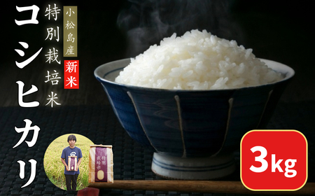 【2025年9月順次発送】令和7年産 新米 白米 3kg 特別栽培米 コシヒカリ コシヒカリ コシヒカリ コシヒカリ コシヒカリ
