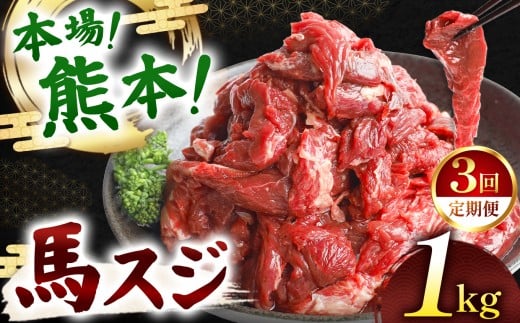 【定期便 3回】馬スジ 1kg ( 500g × 2 ) | 肉 にく お肉 おにく 馬 馬肉 馬スジ 定期 定期便 熊本県 玉名市