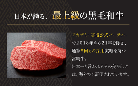 KU032 ＜宮崎牛＞こま肉300g×2袋（計600g)美味しい牛肉をご家庭で【KU032】