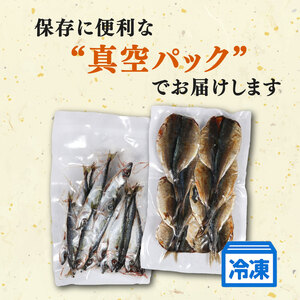 訳あり ひもの 500g セット アジ ブリ コサバ ひもの