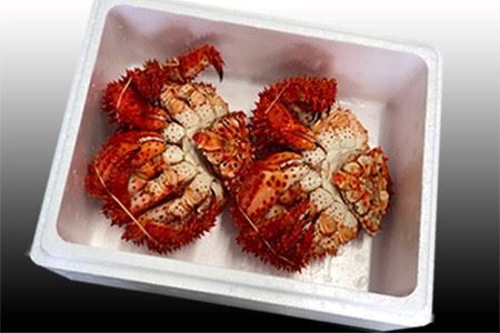 【北海道根室産】花咲かに400g前後～550g前後×3尾 A-30030