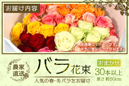 【先行予約】【人気の春・冬薔薇をお届け】ばら農家直送！バラ花束30本以上お届け(色はおまかせ) 【ギフト対応可】TB-16│ローズ 新鮮 花 フラワー 花束 ばら 薔薇 バラ 誕生日 記念日 結婚祝い