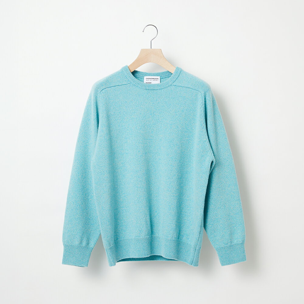 【ふるさと納税】≪先行予約≫【THISISASWEATER.】A4: A SWEATER IS COLOR. Sax moku 水色 カシミヤセーター 服 洋服 ユニセックス メンズ レディース ブランド 数量限定 山形県 山辺町 yt-scxsm