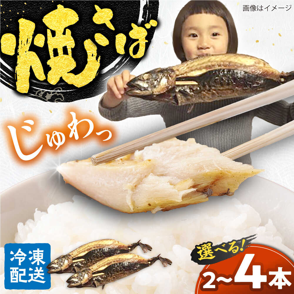 【ふるさと納税】【選べる本数】【郷土料理】焼さば | 魚 さば 鯖 焼き魚 郷土料理 塩さば 冷凍 食品 小分け 大容量 人気 魚 魚介 海鮮 弁当 惣菜 贈答 プレゼント ギフト お取り寄せ グルメ 島根県雲南市/長谷川鮮魚店[AICG003]
