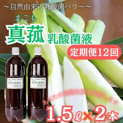 ふるさと納税 西桂町 【毎月定期便】発酵生活サポート_富士山麓の自然の恵み_真菰(まこも)乳酸菌液 1.5L 2本全12回