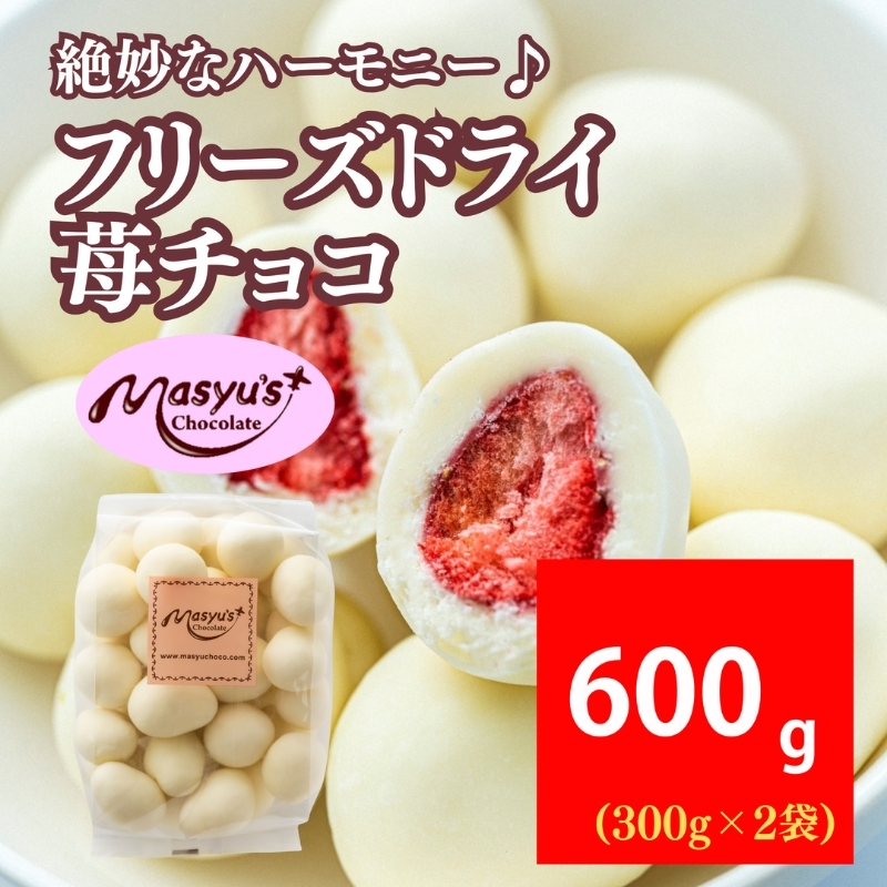 フリーズドライ苺チョコ 600g 300gx2袋 4月～10月発送 チョコレート チョコ スイーツ お菓子 おかし いちご ホワイトチョコ ギフト プレゼント 兵庫県 伊丹市