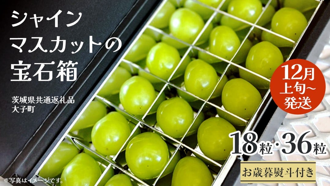 
            《 選べる 内容量 》【 お歳暮 熨斗付き 】 シャインマスカット の宝石箱 18粒 / 36粒 【2025年12月上旬発送開始】(茨城県共通返礼品：大子町) ぶどう 葡萄 フルーツ 果物 贈答用 ギフト 贈り物
          