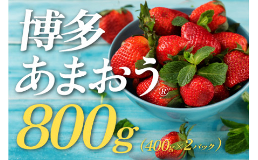 
                  AC401.★限定品★あまおう（４００ｇ×２パック）／２０２７年１月下旬～４月発送
                