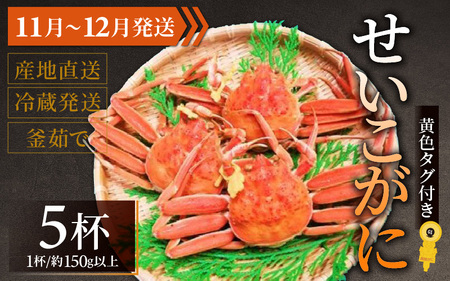 【先行予約】せいこがに 約150g以上×5杯【11月～12月発送予定】