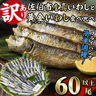 ふるさと納税 佐伯市 &lt;訳あり&gt;佐伯市産真いわしと黄金いわし 食べ比べ (2種・60尾以上)