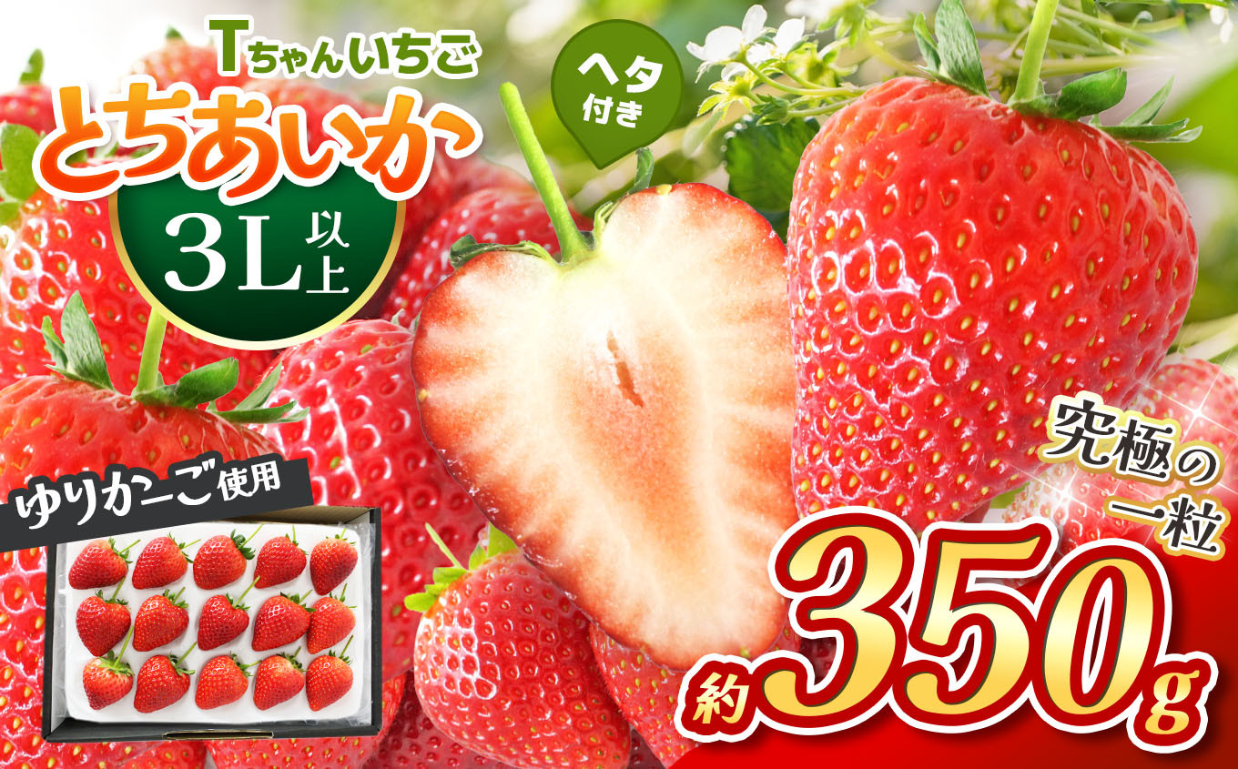
            【先行予約】とちあいか３L以上ホール詰め  350g
          