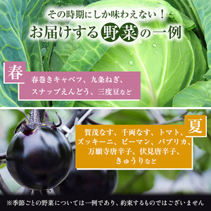 【定期便4回】＜京野菜の京都やおよし＞丹波野菜詰め合わせ 平飼い卵のセット《栽培期間中農薬不使用 野菜》※北海道・沖縄・離島への発送不可