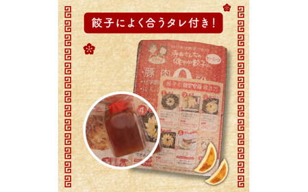 身体に優しい餃子 25個+山椒餃子 16個  期間限定 にんにく 不使用 ヘルシー 冷凍 餃子餃子餃子餃子餃子餃子