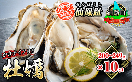北海道 仙鳳趾名産 牡蠣 200g～249g×10コ＋かきナイフ付き 漁師直送K4-5 【センポウシ : 釧路町の東 厚岸湾の西 カキの名産地】 仙鳳趾 せんぽうし 牡蠣 生食用 殻付き 生牡蠣 絶品 産地直送 殻付き牡蠣 北海道 釧路町 釧路超 特産品
