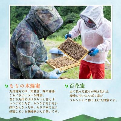 ふるさと納税 基山町 【毎月定期便】みよしのみつ(百花蜜・もちの木)220g×2本全2回 |  | 02