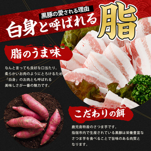  鹿児島黒豚 焼肉用 焼肉 バラエティセット 1kg 岡村商店 IB024-013 黒豚 黒豚 