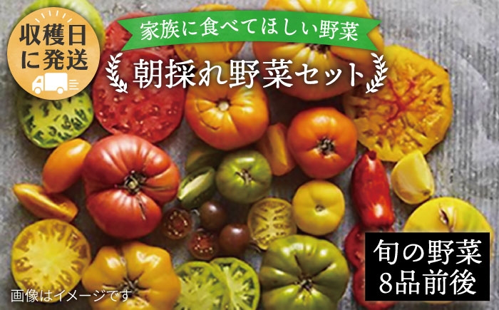 
                  朝採れ！ 糸島 野菜 セット （ 8品 前後 ） 《糸島》【オーガニックナガミツファーム】 	[AGE003]
                