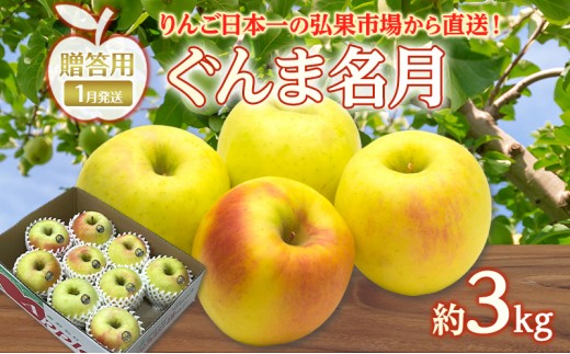 
                  りんご 【 1月発送 】 贈答用 ぐんま名月 約 3kg　リンゴ 林檎 青森りんご 糖度 13度 甘い 酸味 デザート フルーツ 果物 お取り寄せ 産地直送 旬 季節限定 弘果物流 青森県 西目屋村 西目屋村産
                
