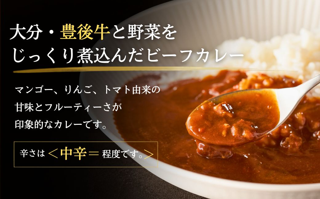 大分豊後牛ビーフカレー 10袋セット レトルト カレー ビーフ レトルト食品 和牛カレー お惣菜 大分県産 九州産 津久見市 熨斗対