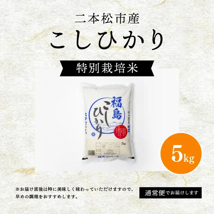 米 令和7年産 こしひかり5kg【株式会社あだたら米】