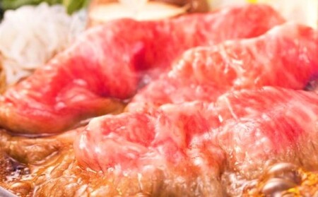 肉 博多和牛 A4～A5 しゃぶしゃぶ すき焼き セット 500g 肉