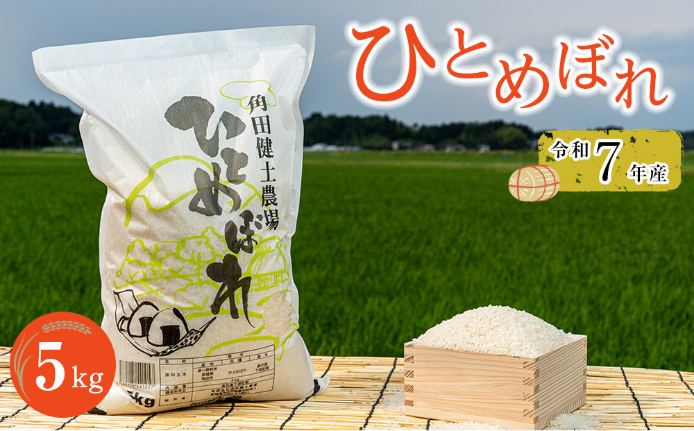 【先行予約】令和7年産　ひとめぼれ　5kg×1袋 【2025年10月下旬より順次発送】