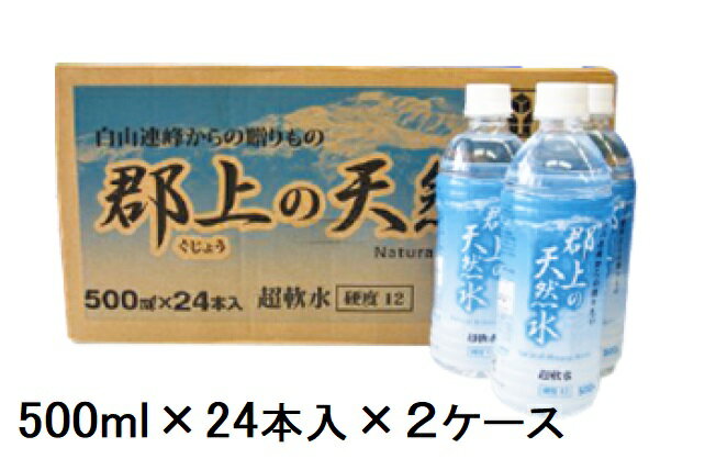 【ふるさと納税】清流長良川源流「郡上の天然水」500ml(24本入)2箱 / 水 ソフトドリンク 水 炭酸水 30000円