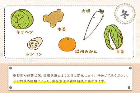 【3か月定期便】旬の新鮮野菜・果物詰合せセット (計3回お届け)たっぷり8-12品目 熊本県氷川町産 道の駅竜北《お申込み月の翌月から出荷開始》