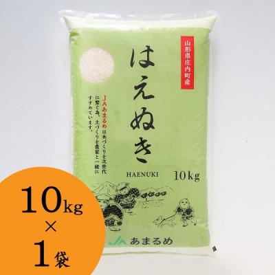 ふるさと納税 庄内町 JAあまるめ 山形県庄内町産 はえぬき 10kg×1袋 令和7年産 2025年産 ブランド米