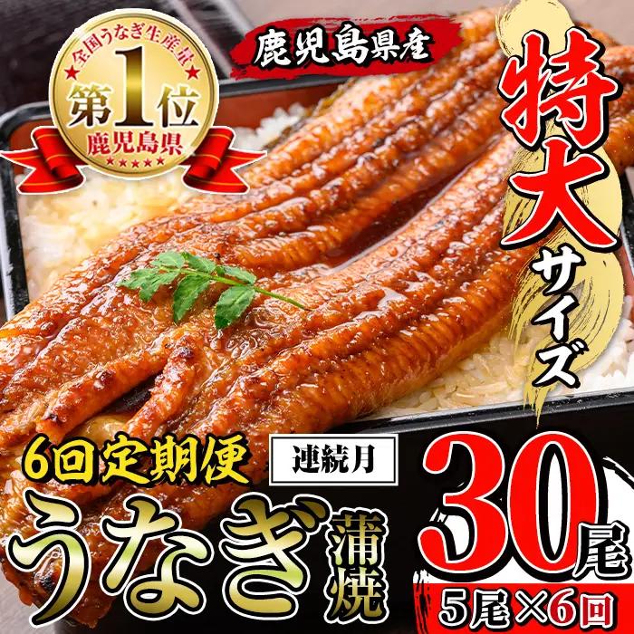 【6回定期便(連続月)】鹿児島県産 うなぎ蒲焼 特大 サイズ 5尾セット ＜（約220g×5・計約1100g）×全6回＞【薩摩川内鰻】 i1177-A